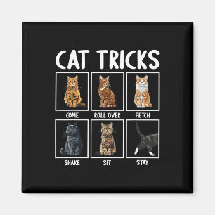 Imã Gatos Engraçados Truques De Gato