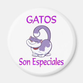 Imã Gatos Especiales