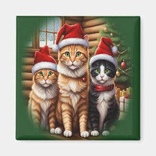 Imã Gatos Fofos