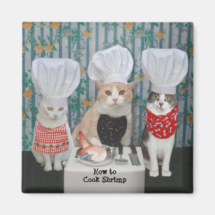Imã Gatos/gatinhos do cozinheiro chefe do gourmet