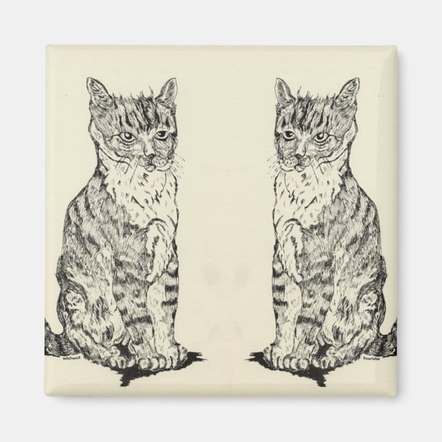 Imã Gatos Gêmeos De Magnetos De Cozinha (Frente)