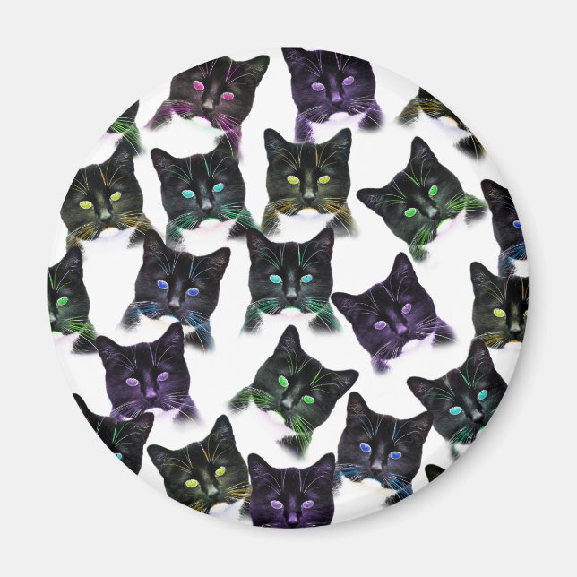 Imã Gatos legal (Frente)