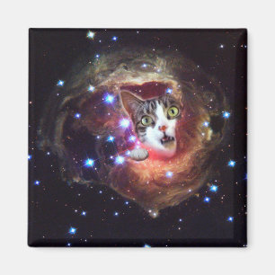 Imã Gatos LOL do espaço da galáxia ímã do quadrado