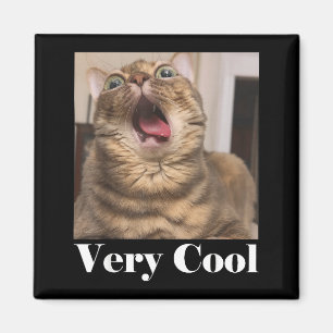 Imã Gatos Meme Gráfico Humor de Gato Bobo Gato Engraça