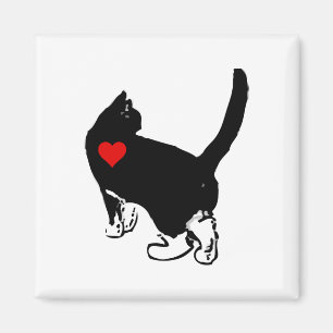Imã Gatos Mostrando Amor