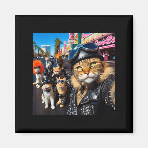 Imã Gatos Motociclistas Engraçados Gatos Gângster Rua