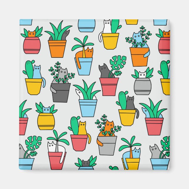 Imã Gatos nos pântanos (Frente)