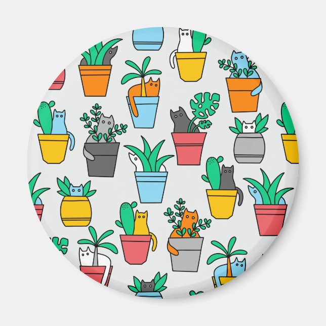 Imã Gatos nos pântanos (Frente)