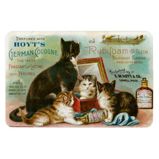 Ímã Gatos para Hoyt