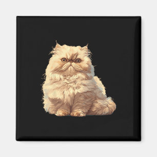 Imã Gatos Persa Gatos Persa