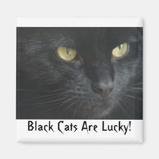 Imã Gatos Pretos São Sortudos! Íman