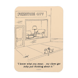 Ímã Gatos que agarram a mobília