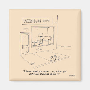 Imã Gatos que agarram a mobília