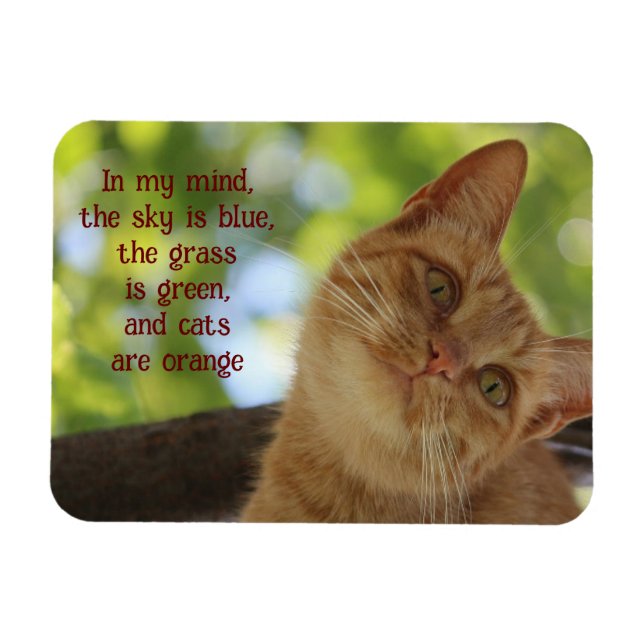 Ímã Gatos São Laranja (Horizontal)