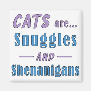Imã Gatos são mascotes e Shenanigans