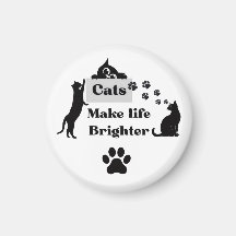 Gatos Tornam a Vida Mais Brilhante – Inspiração Do