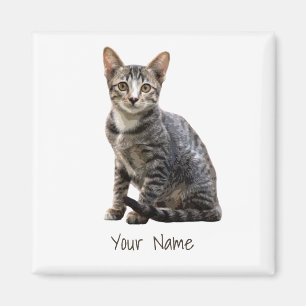 Imã Gatos Vintage Retrato Pet Tomcat Animal Design