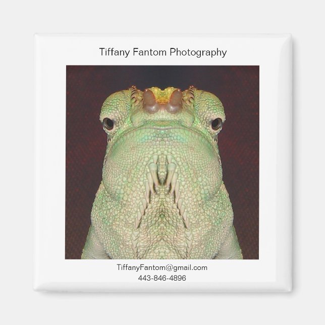 Imã Gatsu Promo (Frente)