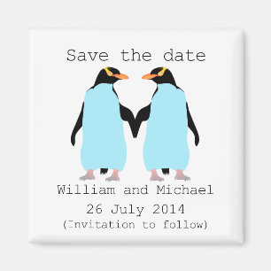 Imã Gay, pinguins de mãos dadas salvam a data