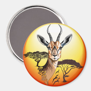Imã Gazelle African Antelope Wild Animal
