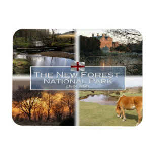 Ímã GB Reino Unido - Inglaterra - The New Forest N.P -