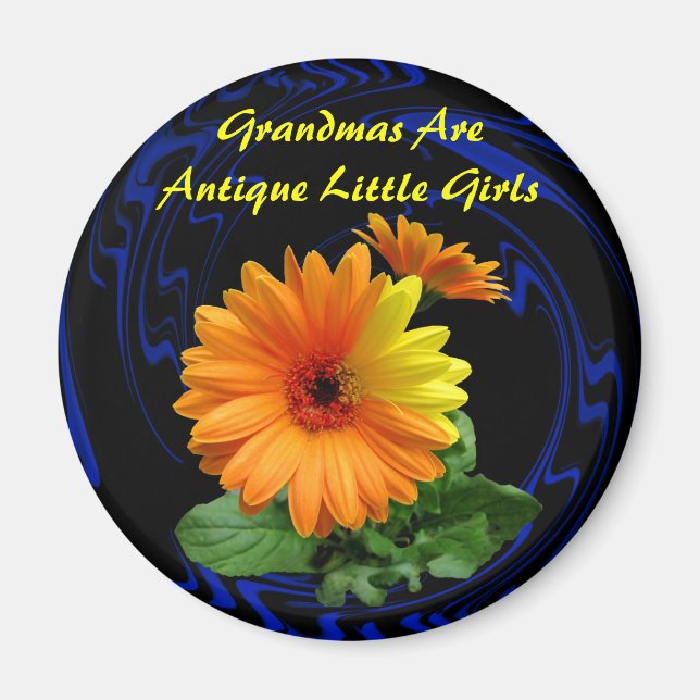 IMÃ GEBER DAISY - MAGNET (Frente)