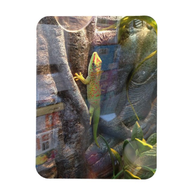 Ímã Gecko Magnet, Giant Day (Vertical)