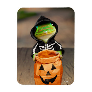 Ímã Gecko Skeleton