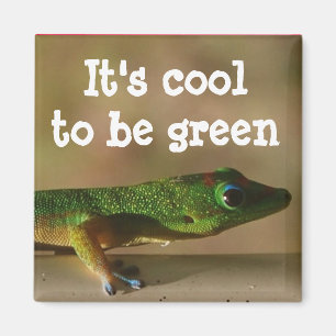 Imã Geco verde legal