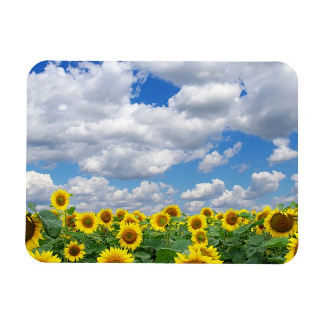 Ímã Geladeira de Foto Personalizada (Horizontal)
