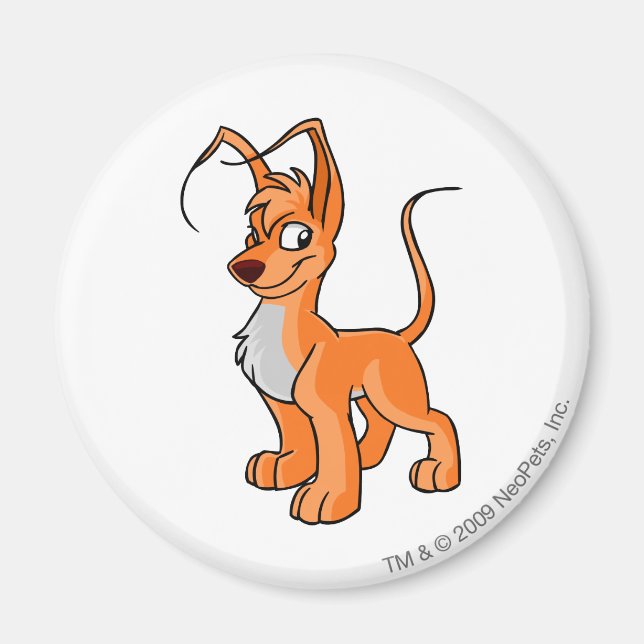 Imã Gelert Orange (Frente)