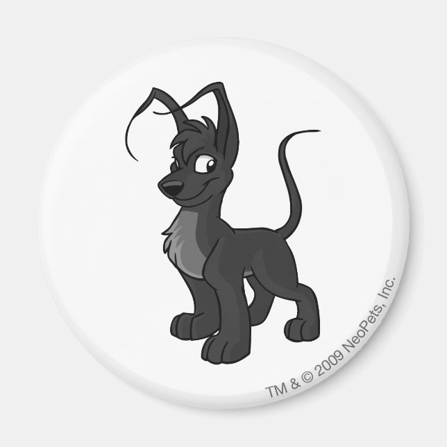 Imã Gelert Shadow (Frente)