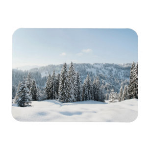 Ímã Gelo e neve   Allgäu Bavaria Alemanha