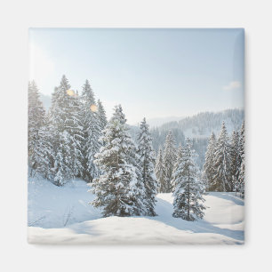 Imã Gelo e neve Allgäu Bavaria Sul da Alemanha