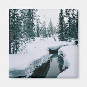 Imã Gelo e neve Fluxo numa paisagem de inverno com n