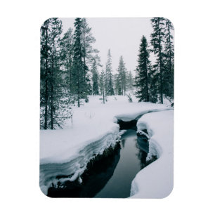 Ímã Gelo e neve Fluxo numa paisagem de inverno com n