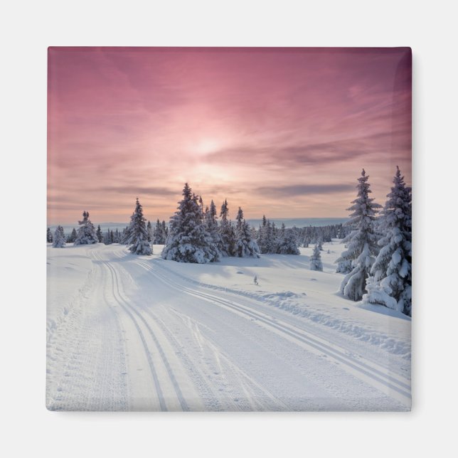 Imã Gelo e neve | Lillehammer, Noruega (Frente)