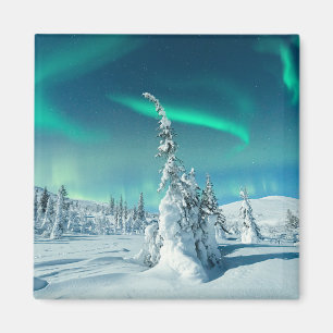 Imã Gelo e neve   Luzes Nortes, Lapónia, Finlândia