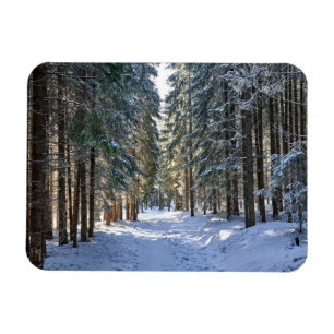 Ímã Gelo e neve Montanhas Tatra, Polônia