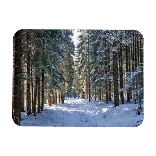 Ímã Gelo e neve | Montanhas Tatra, Polônia (Horizontal)