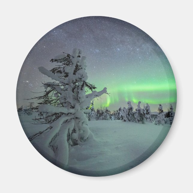 Imã Gelo e neve | Parque Nacional de Pallas-Yllastuntu (Frente)