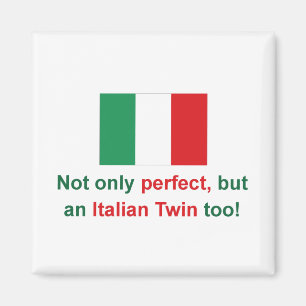 Imã Gêmeo italiano perfeito