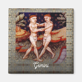 Imã Gemini, a Festa de aniversário dos Sinais Gêmeos Z