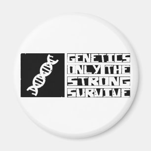 Imã Genética Sobrevive