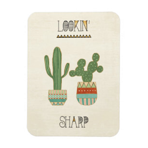 Ímã Geo IX Sudoeste   Busca de Sharp