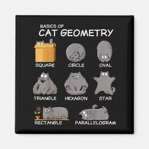 Imã Geometria de Gato Matemática Presentes Divertidos