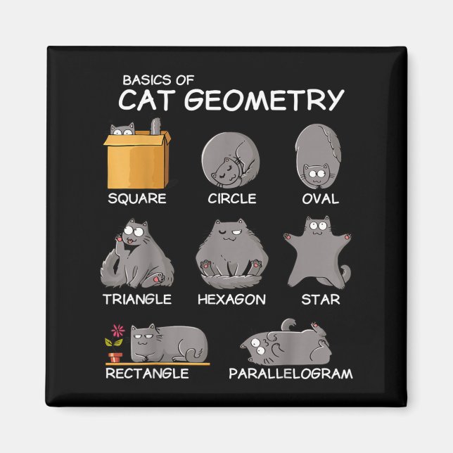 Imã Geometria de Gato Matemática Presentes Divertidos  (Frente)