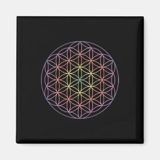 Imã Geometria Sagrada A Flor Da Vida Yoga Yantra Símbo