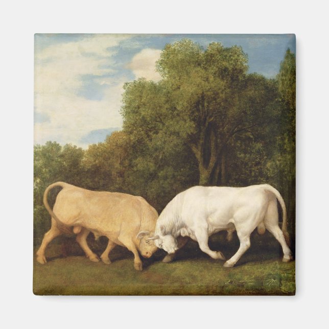 Imã George Stubbs | Combate a touros, 1786 (óleo no pa (Frente)