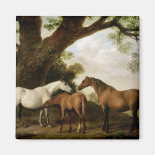 Imã George Stubbs   Dois Shafto Mares e um Foal, 1774
